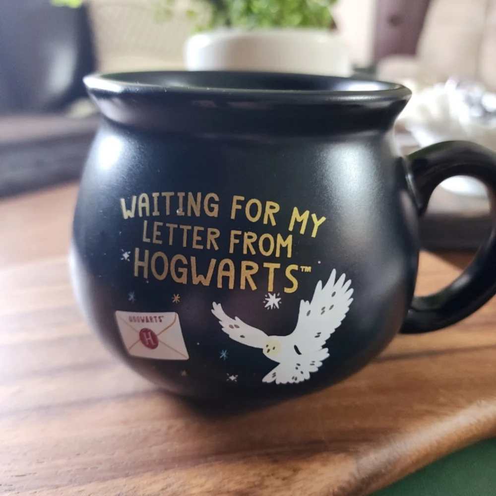 Harry Potter Hogwarts Mug - Picture 1 of 4